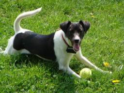 Resize of DSC01807.JPG